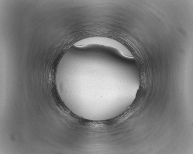 X0000115540284200911201746