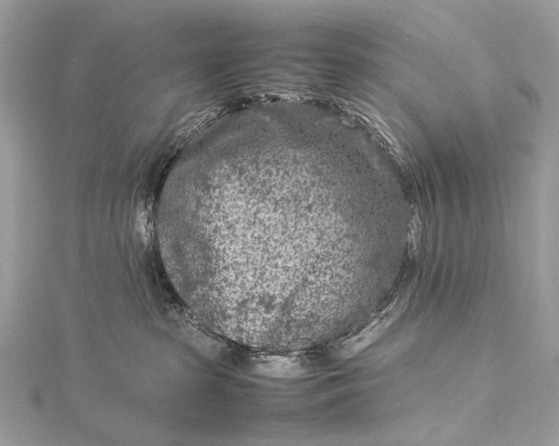 X0000115540285200911201746