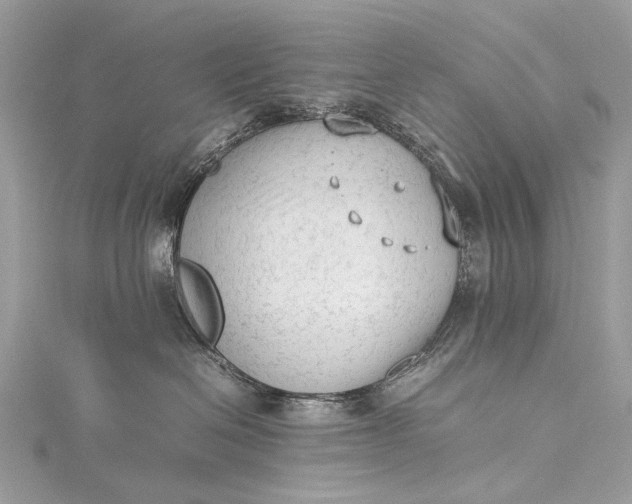 X0000115540286200911201746