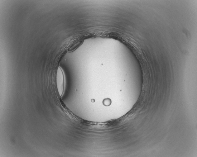 X0000115540288200911201746