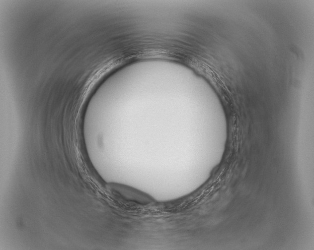 X0000115540289200911201745