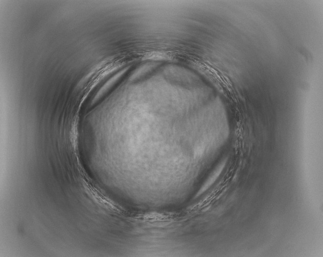 X0000115540290200911201745