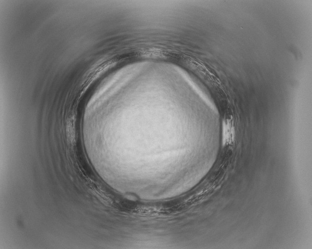 X0000115540291200911201745