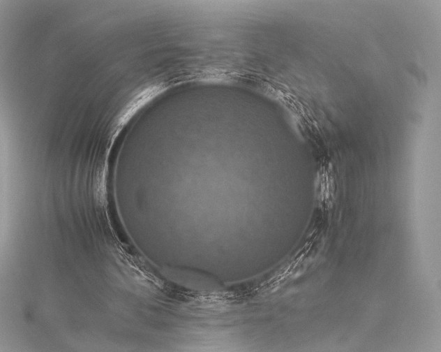 X0000115540292200911201745