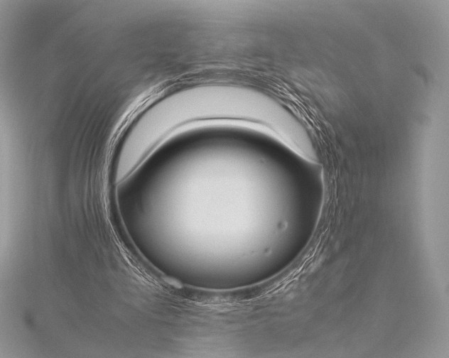 X0000115540293200911201745