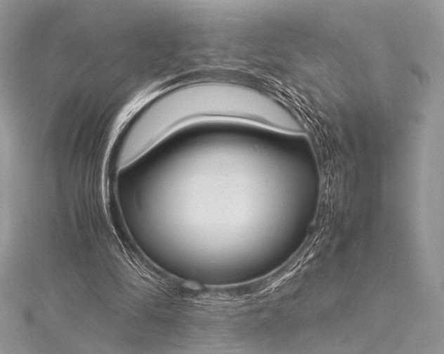 X0000115540294200911201745