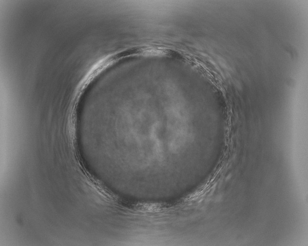 X0000115540295200911201745