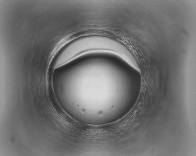 X0000115540296200911201745