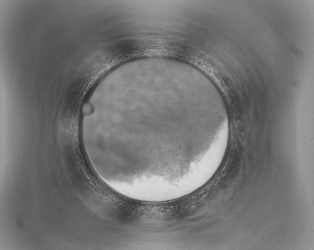 X0000115540297200911201745