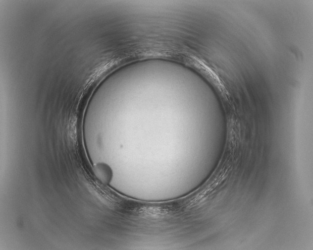 X0000115540298200911201745