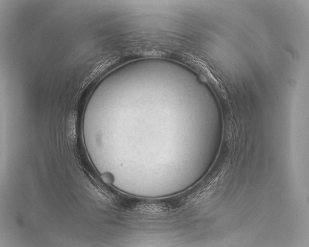 X0000115540299200911201745