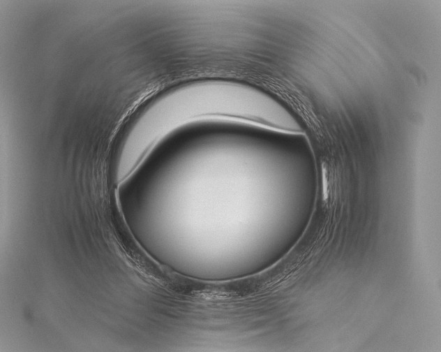 X0000115540300200911201745