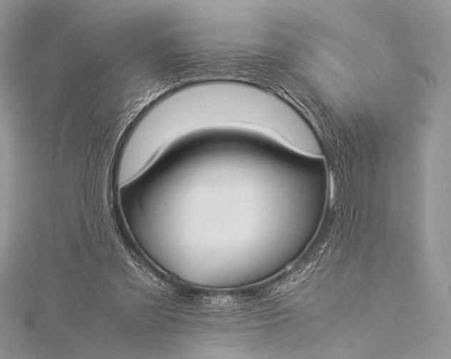 X0000115540301200911201745