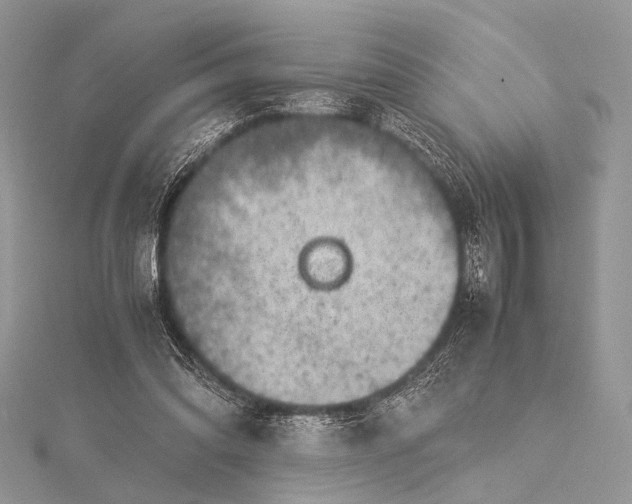 X0000115540302200911201745