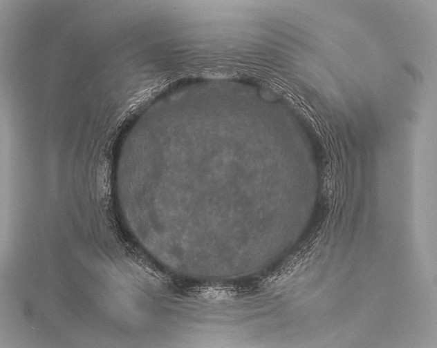 X0000115540303200911201745