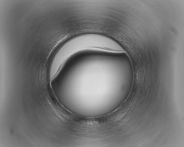 X0000115540304200911201745