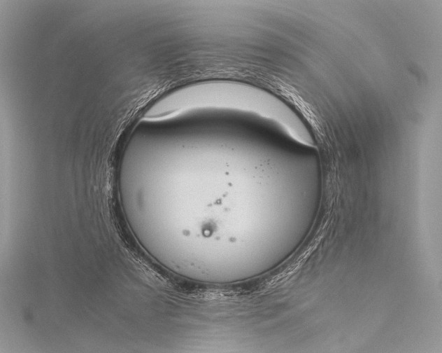 X0000115540305200911201745