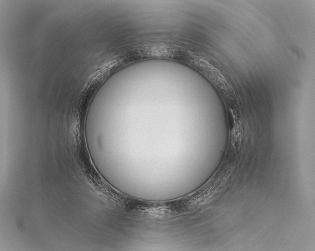 X0000115540306200911201745