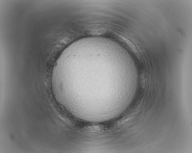 X0000115540307200911201745