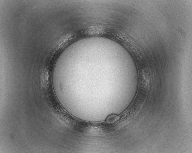 X0000115540308200911201745