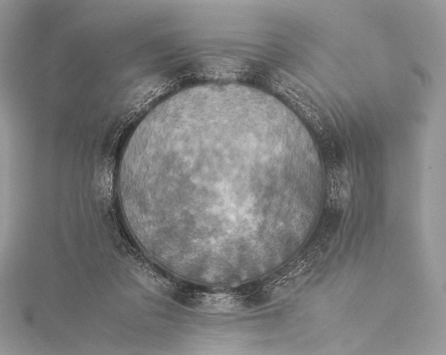 X0000115540309200911201745