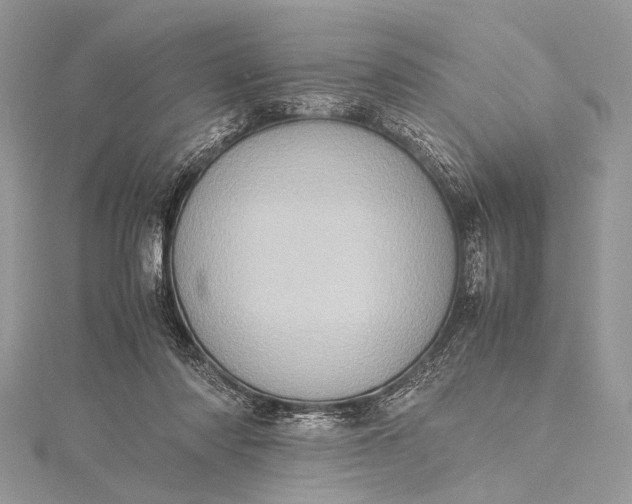 X0000115540310200911201745