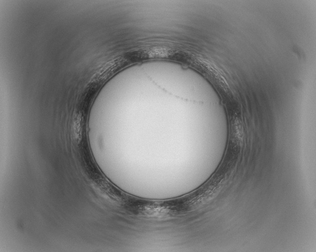 X0000115540311200911201745