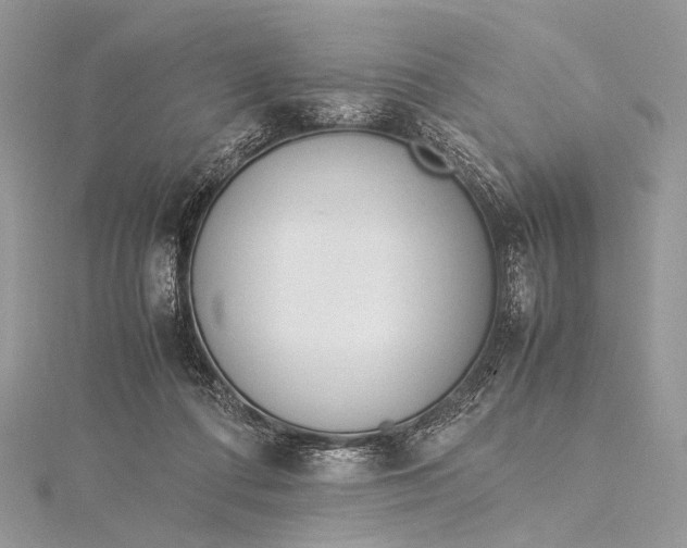 X0000115540312200911201745