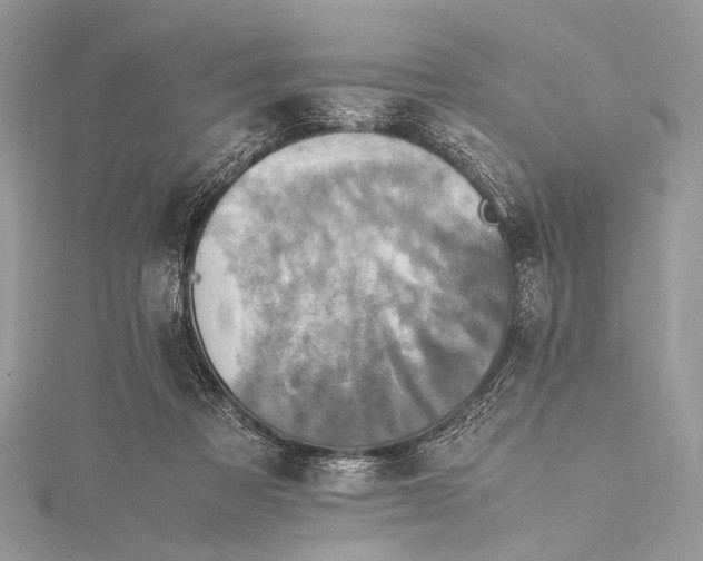 X0000115540313200911201745