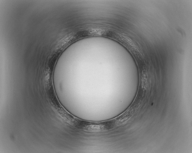 X0000115540314200911201745