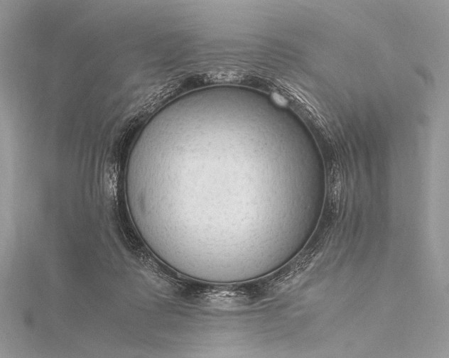 X0000115540315200911201745