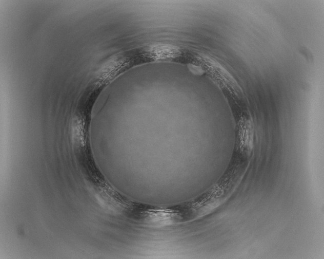 X0000115540316200911201745