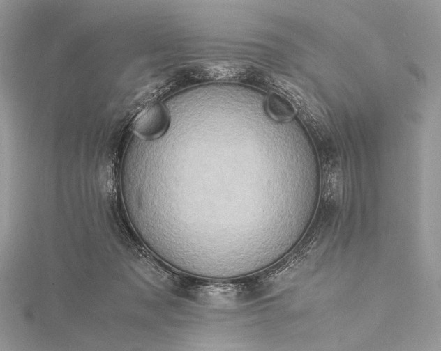 X0000115540317200911201745