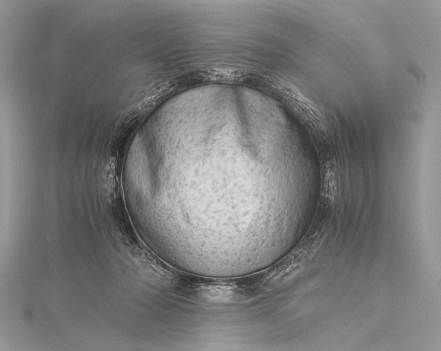 X0000115540318200911201745