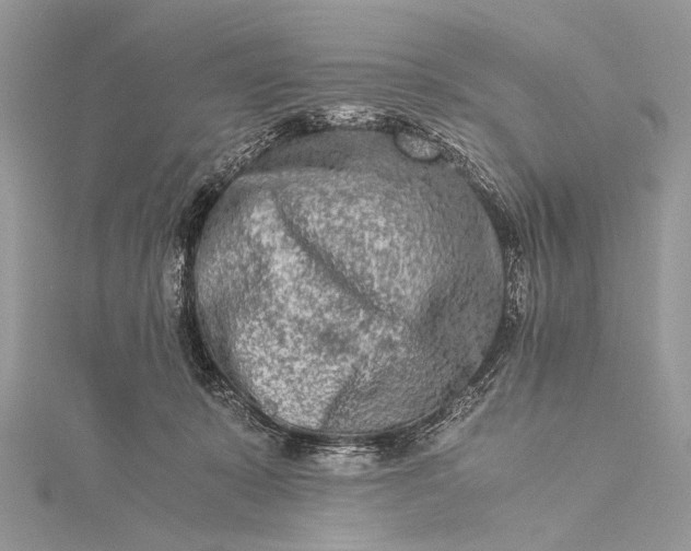 X0000115540319200911201745