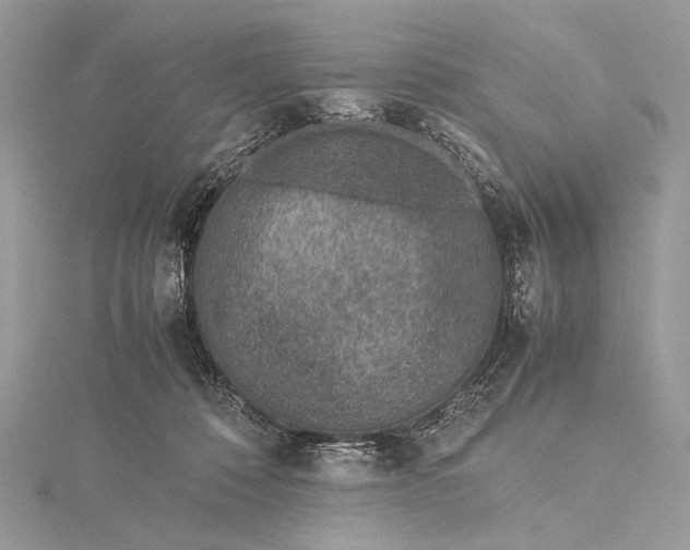 X0000115540320200911201745