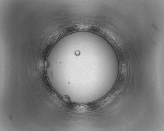 X0000115540321200911201745