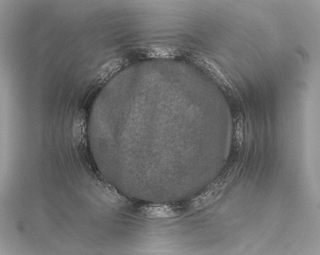 X0000115540322200911201745