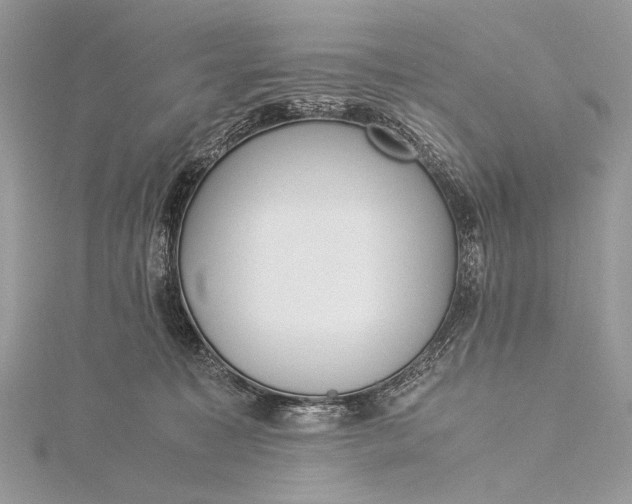 X0000115540323200911201745