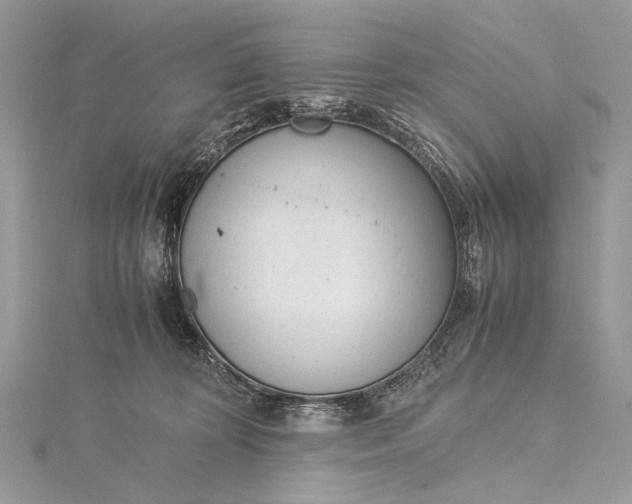 X0000115540324200911201745