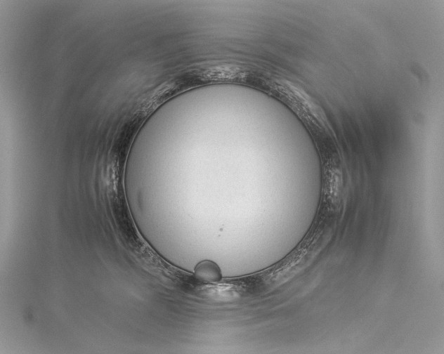 X0000115540326200911201745