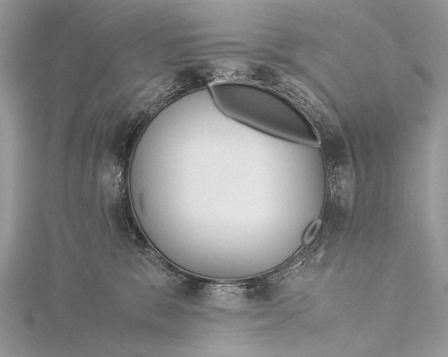 X0000115540327200911201745