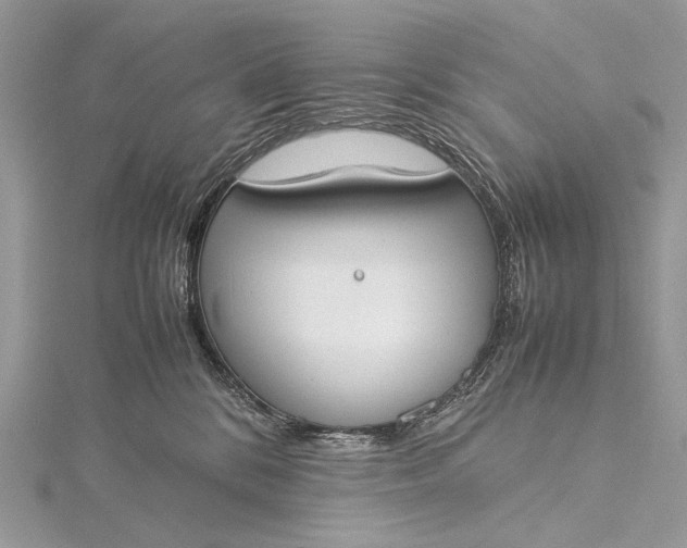 X0000115540328200911201745