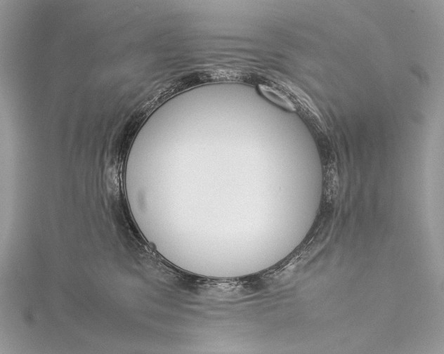 X0000115540329200911201745