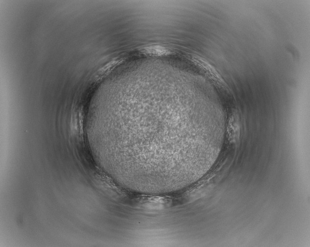 X0000115540330200911201745