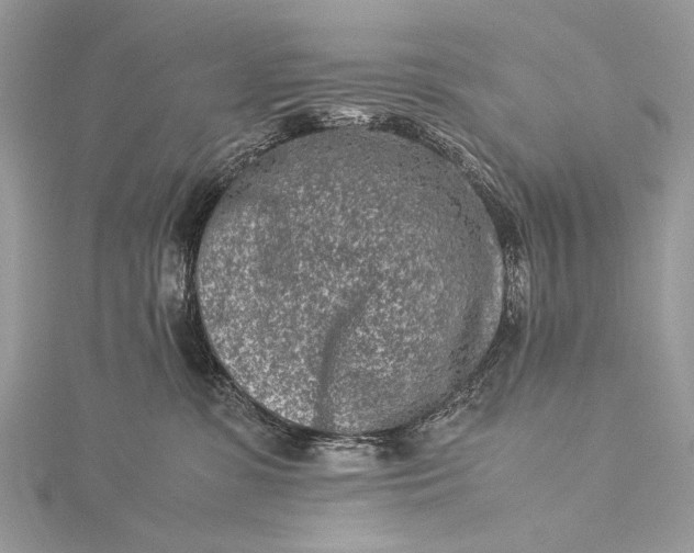 X0000115540331200911201745