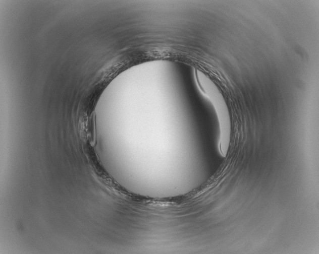 X0000115540332200911201745