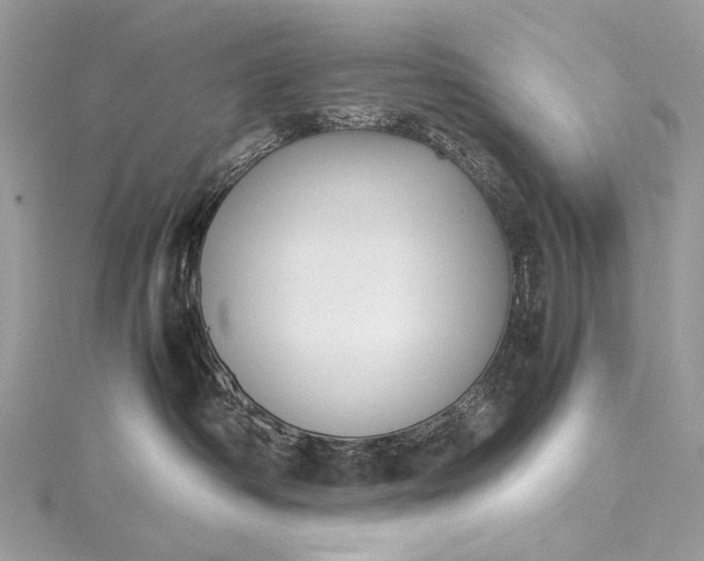 X0000115540334200911201745