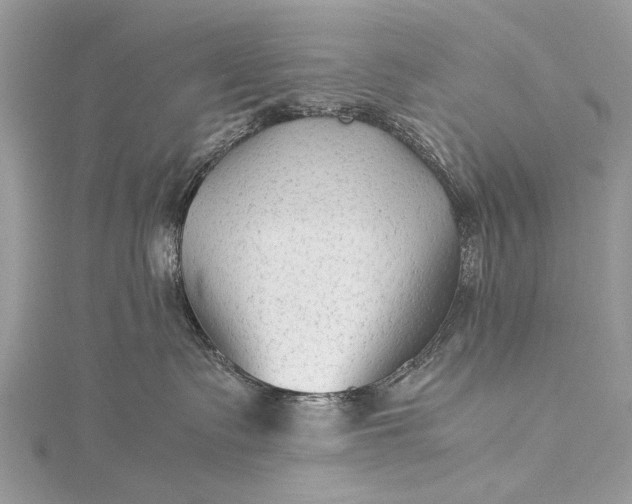 X0000115540335200911201745