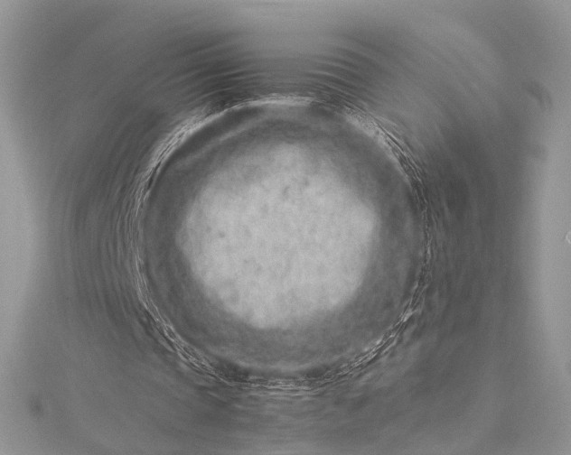 X0000115540337200911201744